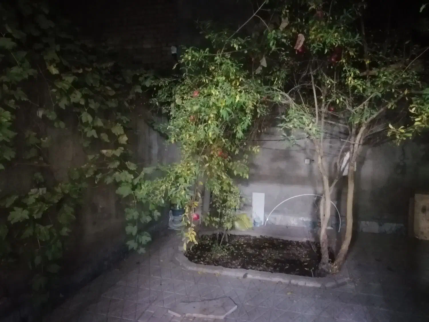 آپارتمان همکف 110 متری|اجارهٔ آپارتمان|مشهد, ولیعصر (شهرک غرب)|دیوار