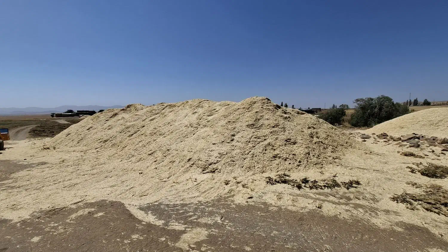 کاه دیم|عمدهفروشی|سمنان, |دیوار