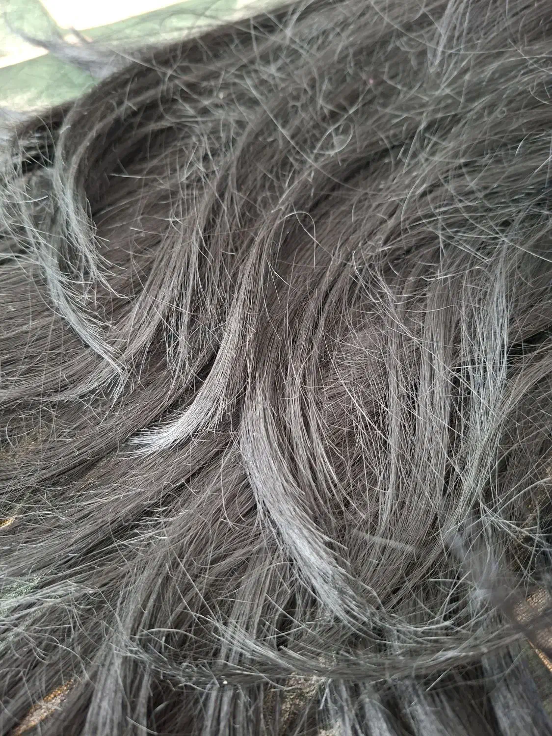 کلاه گیس|آرایشی، بهداشتی، درمانی|نیشابور, فرح بخش|دیوار