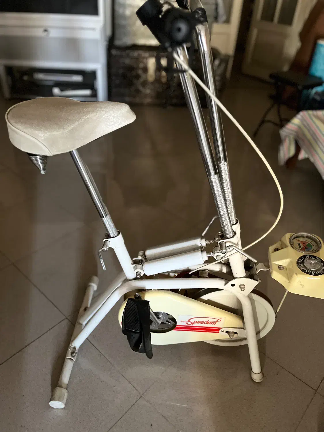 دوچرخه ثابت آلمانی|تجهیزات ورزشی|رشت, منظریه|دیوار