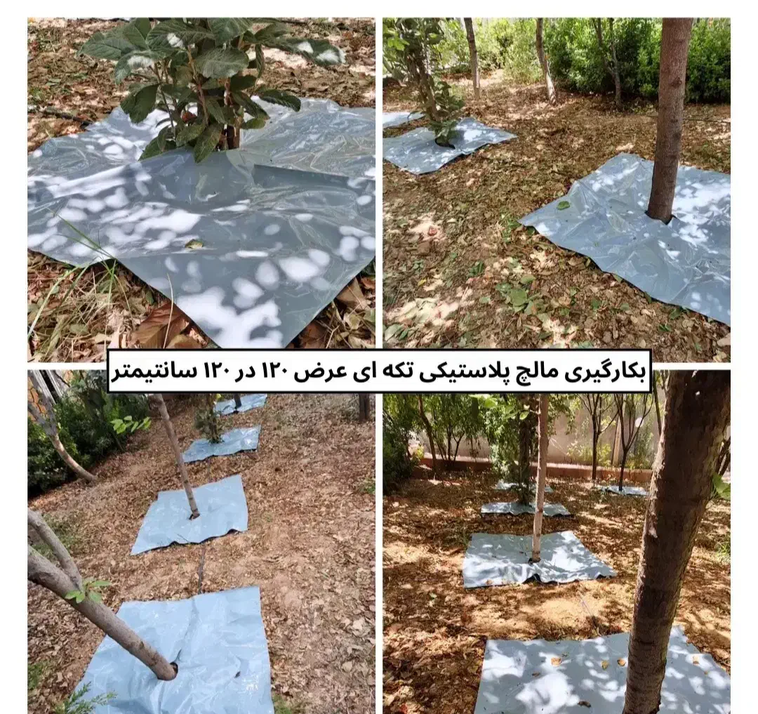 کاور پلاستیکی مالچ درختان پسته|خدمات باغبانی و درختکاری|رفسنجان, |دیوار