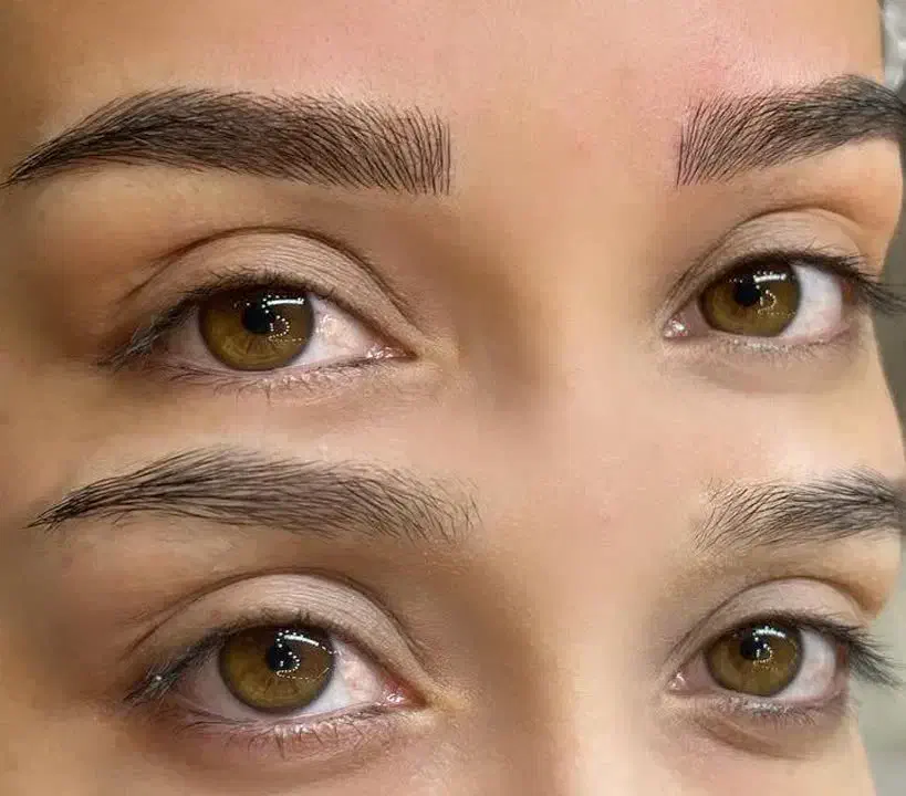 میکروبلیدینگ کرکی و مویی|خدمات آرایشگری و زیبایی|تربتحیدریه, باغ سلطانی|دیوار