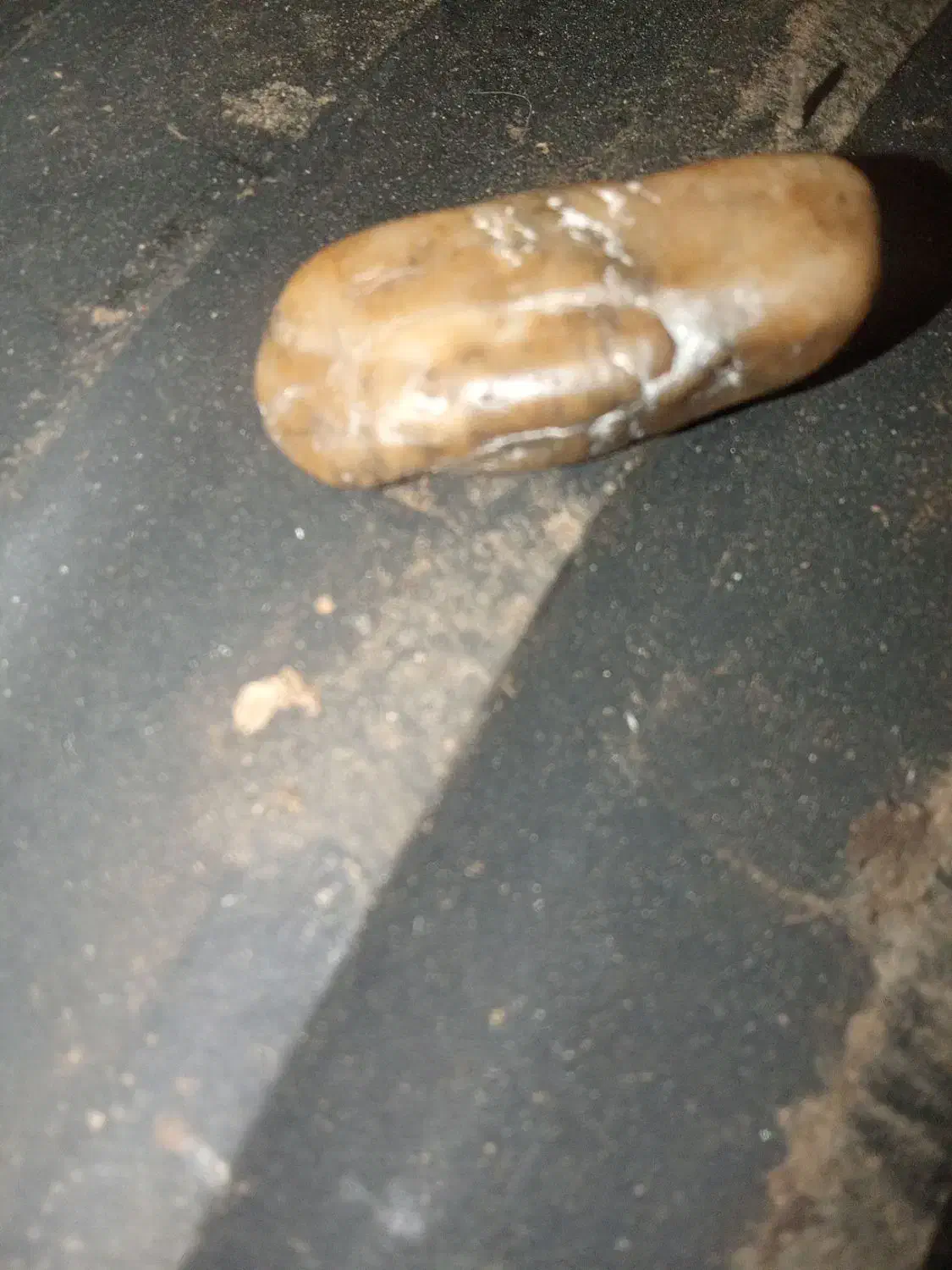 سنگ|کلکسیون اشیاء عتیقه|ساوه, |دیوار