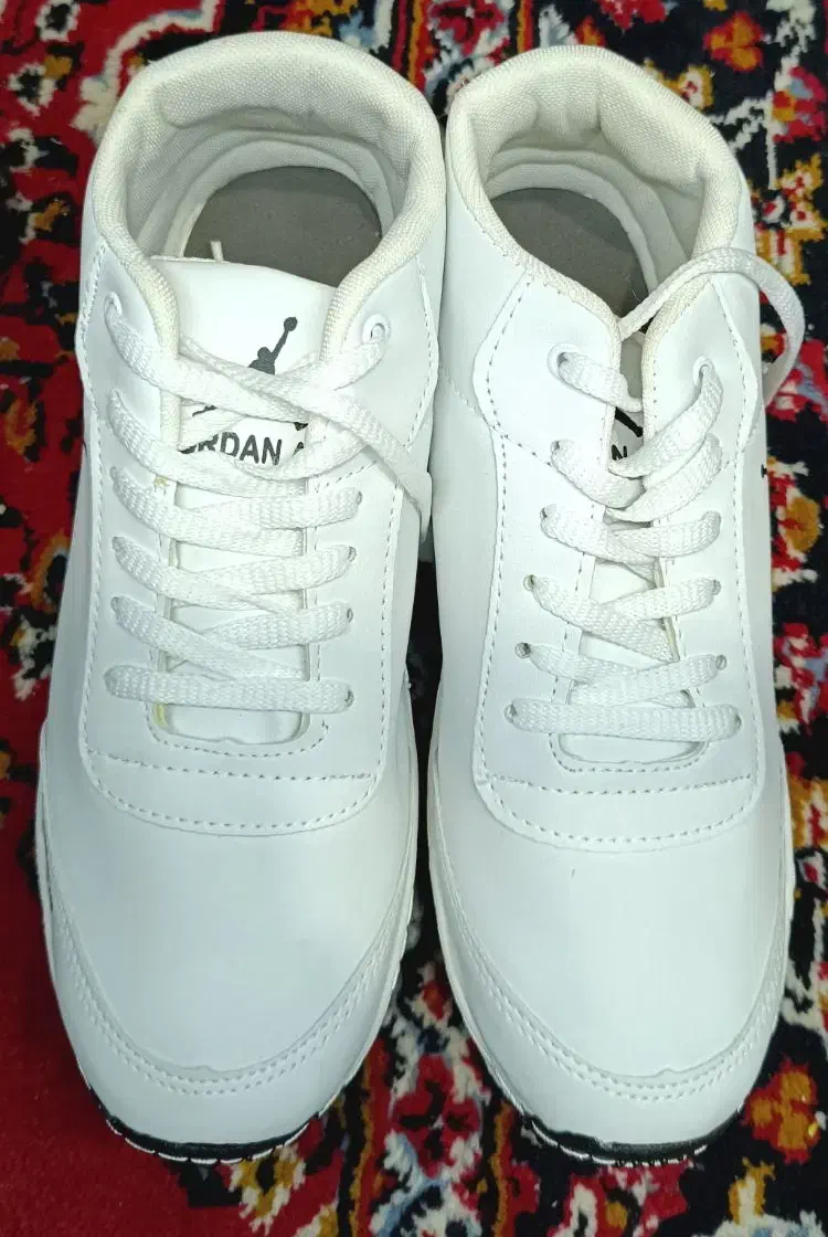 کفش|کیف، کفش، کمربند|مرودشت, بیست متری بیمارستان|دیوار