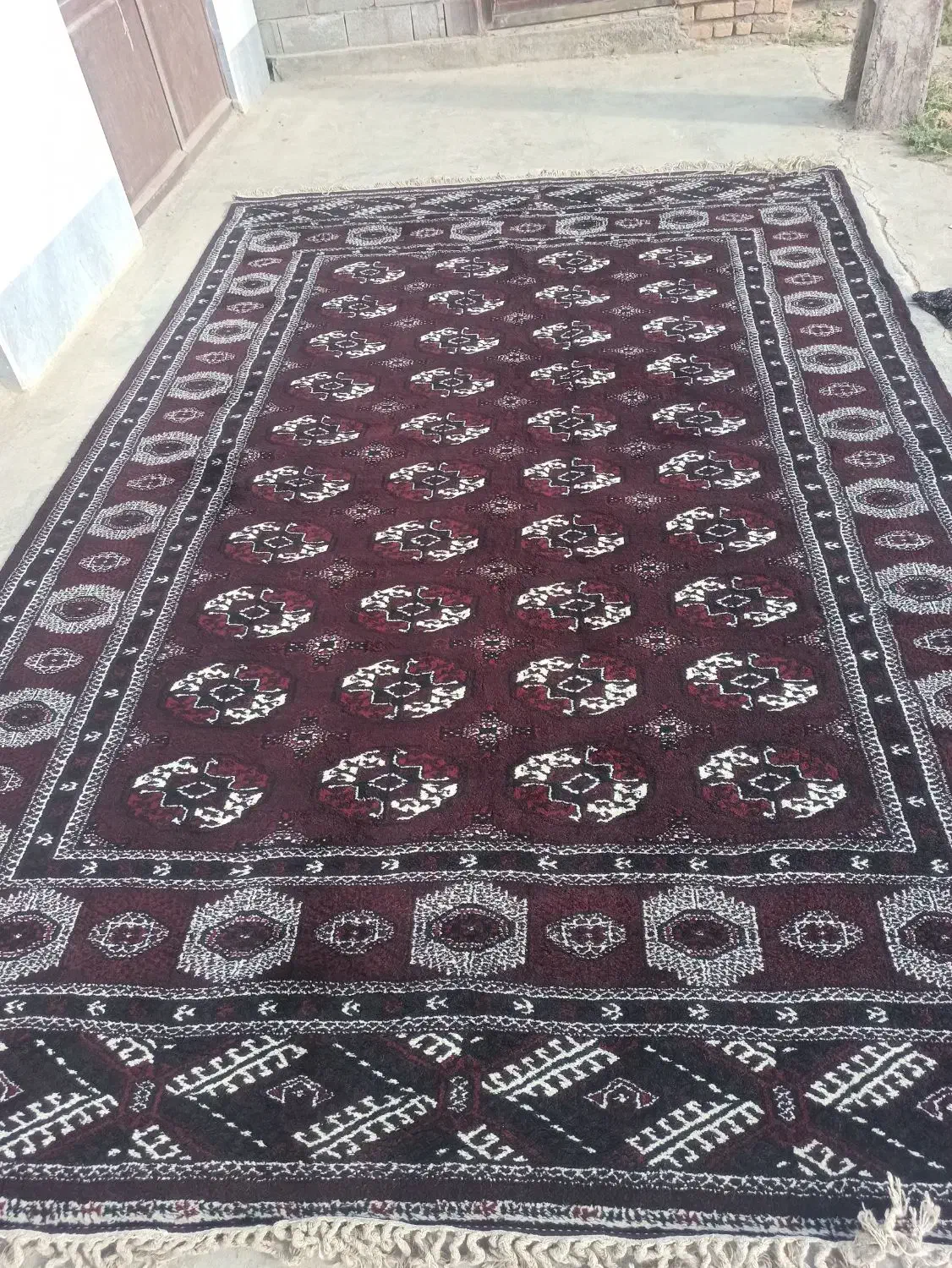 قالی ترکمنی(عرض۲/۶۰متر طول۴متر)|فرش|آق قلا, |دیوار