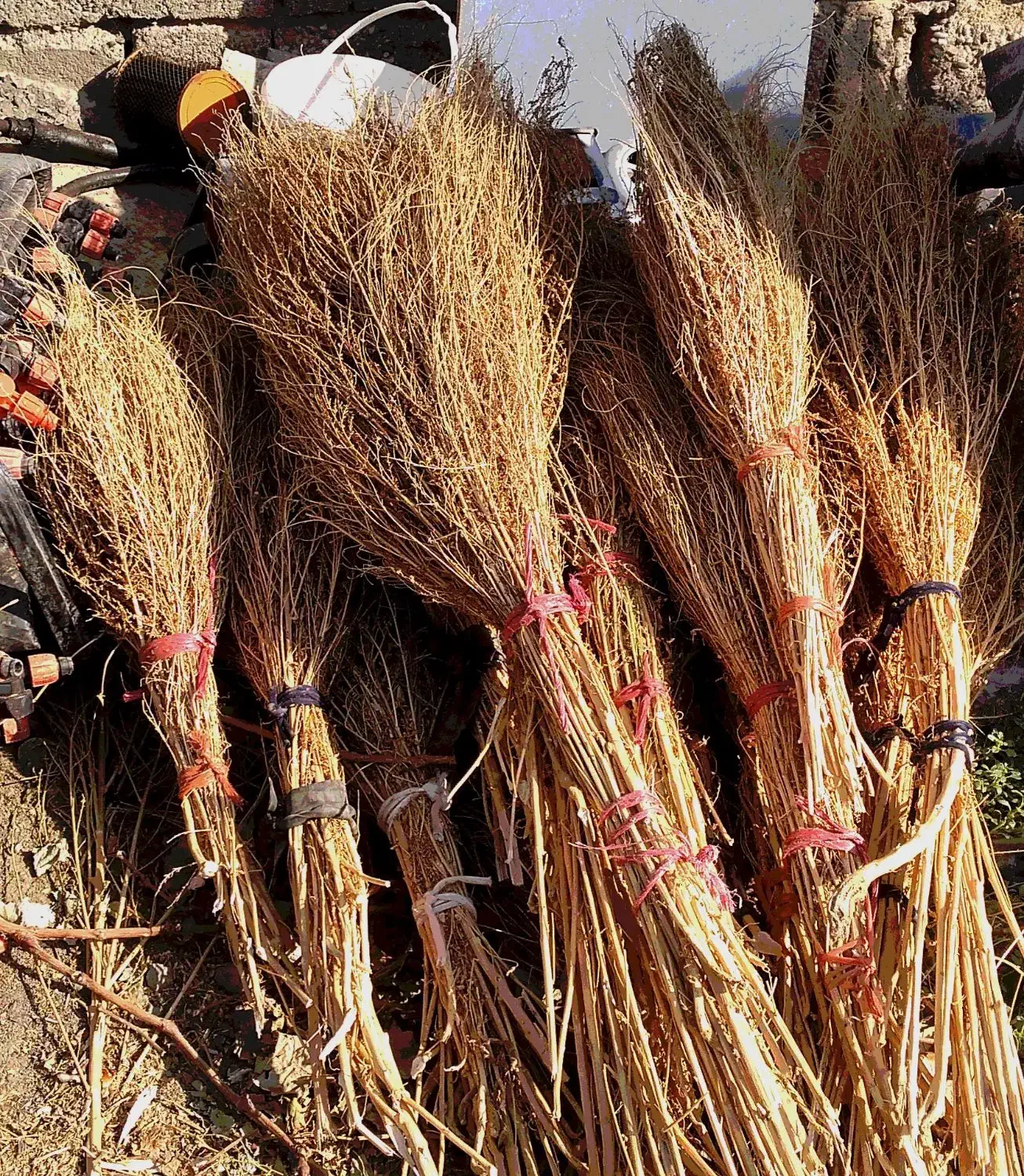 جارو حیاط|لوازم نظافت|ملکان, |دیوار