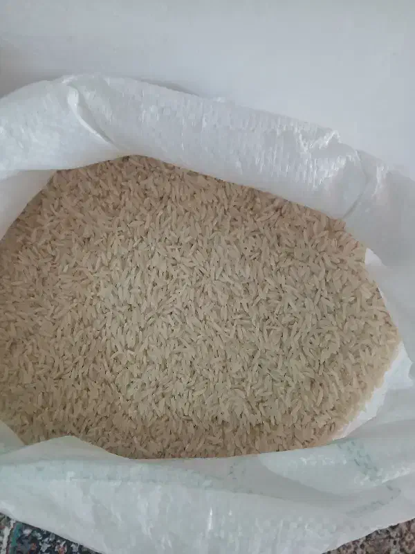 برنج اصل هاشمی|خوردنی و آشامیدنی|اردبیل, |دیوار