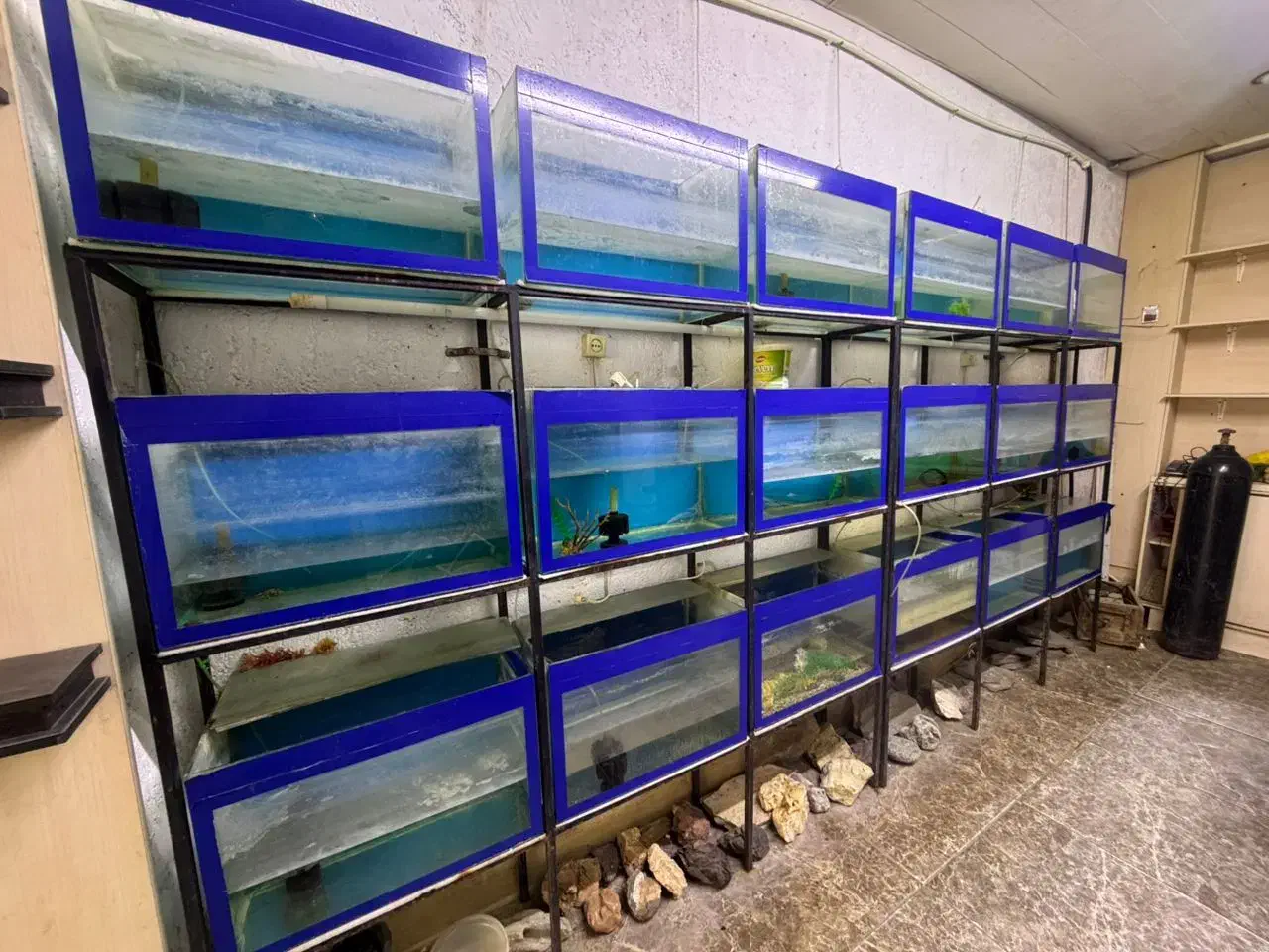 اکواریوم به همراه پایه|ماهی|ساری, |دیوار