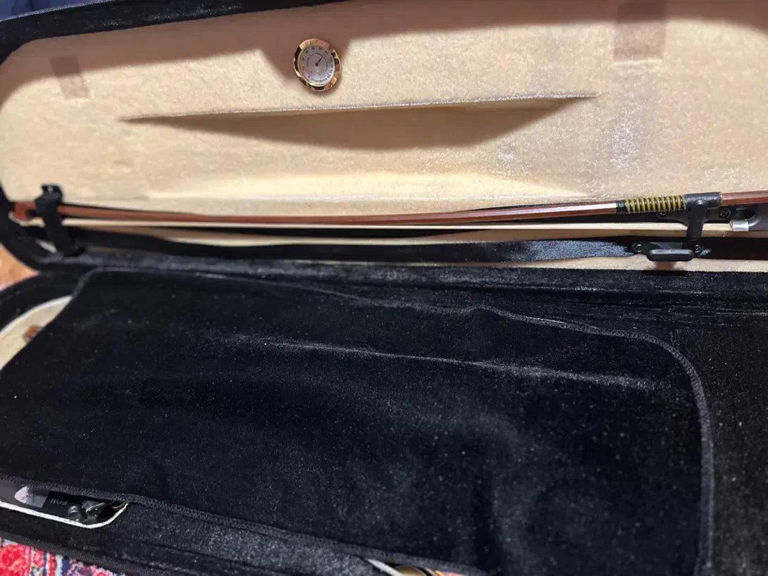 ساز موسیقی ویولن|ویولن|سنندج, |دیوار