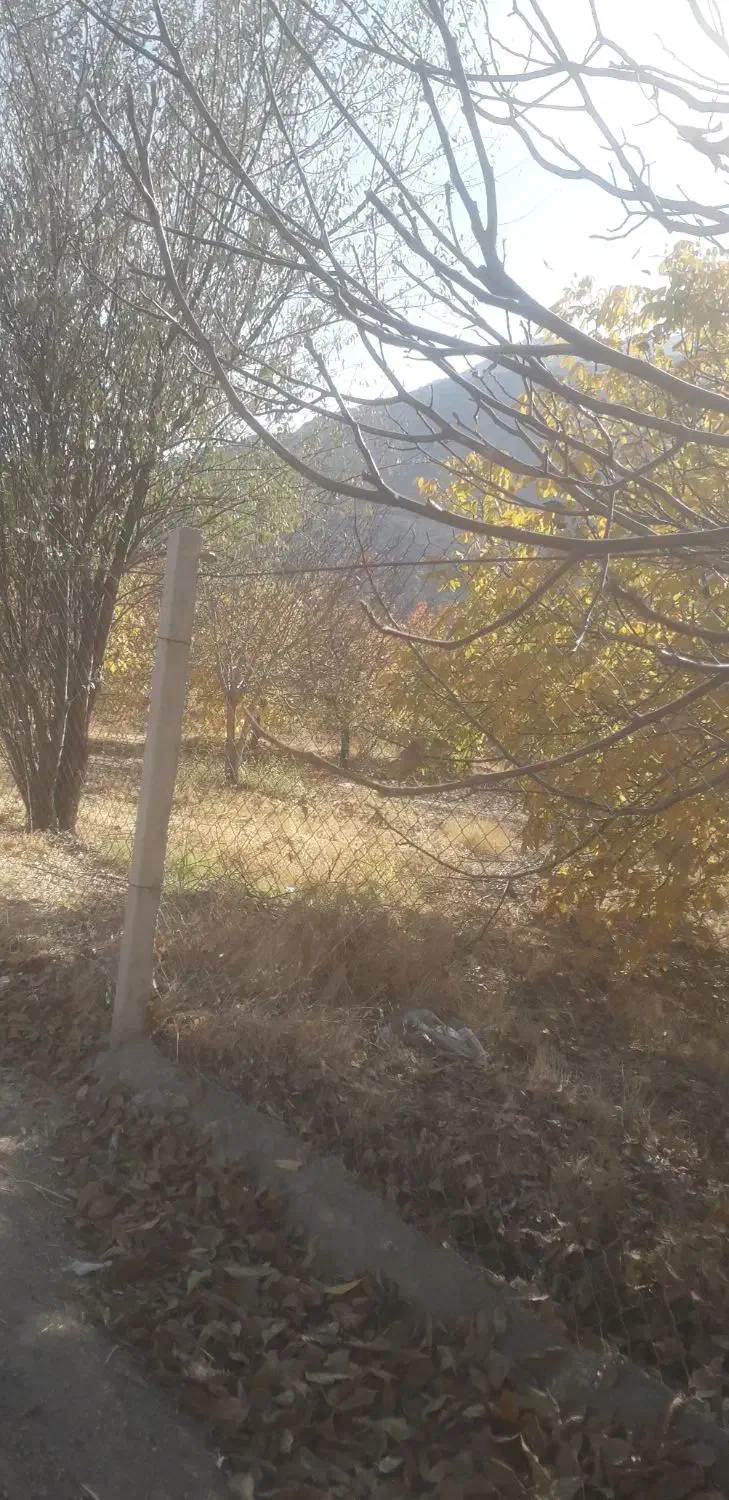 باغ گردو ۲۷۰۰متر قیمت هرمتر۱ملیون تومان|فروش زمین و ملک کلنگی|بیرانوند, |دیوار