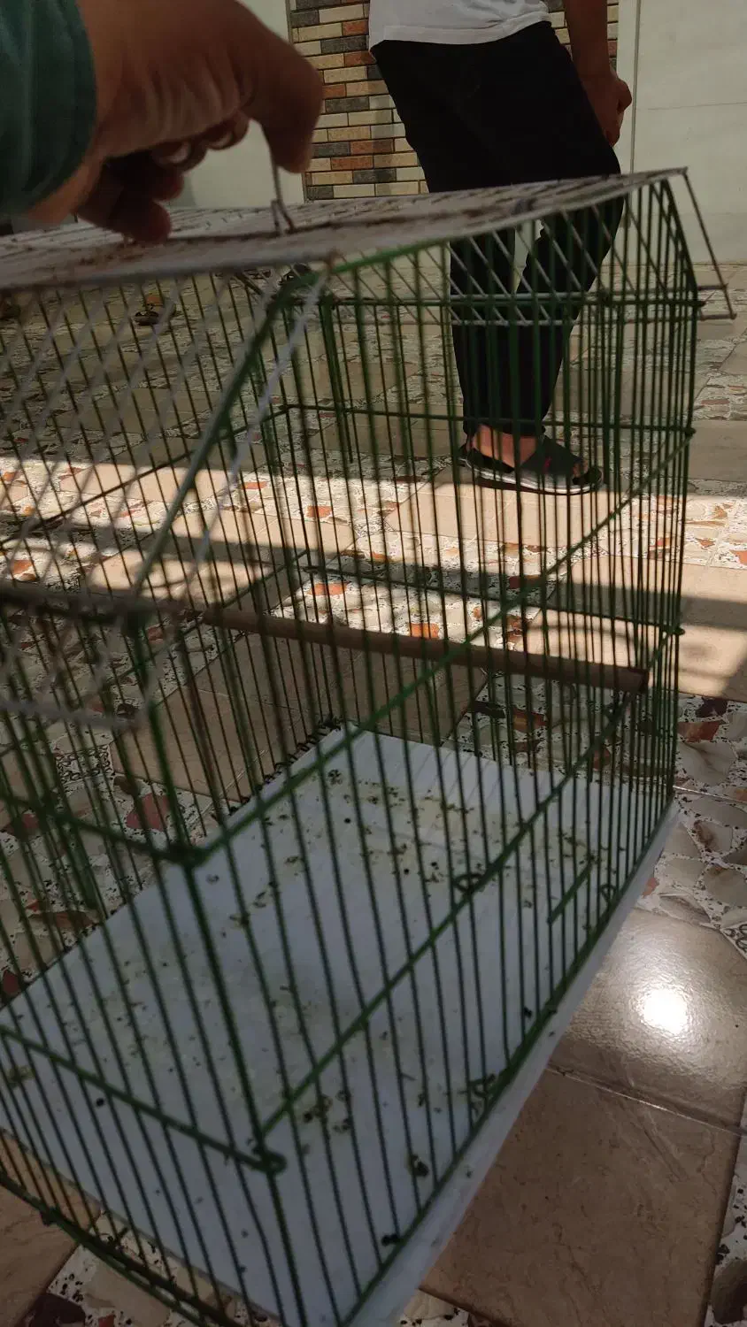 قفس|لوازم جانبی حیوانات|سوسنگرد, |دیوار