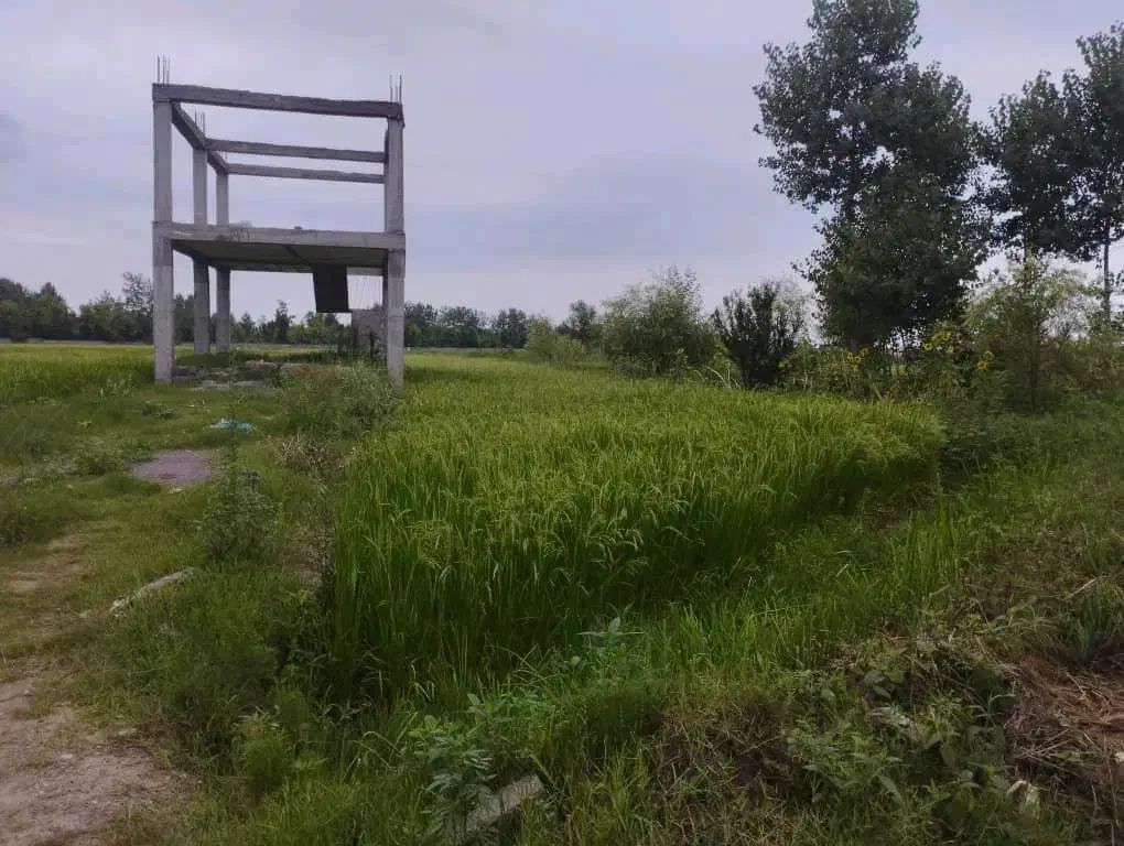 فروش فوری ۵۳۰ متری در بازکیاگوراب به دلیل مهاجرت|فروش زمین و ملک کلنگی|لاهیجان, بازکیاگوراب|دیوار