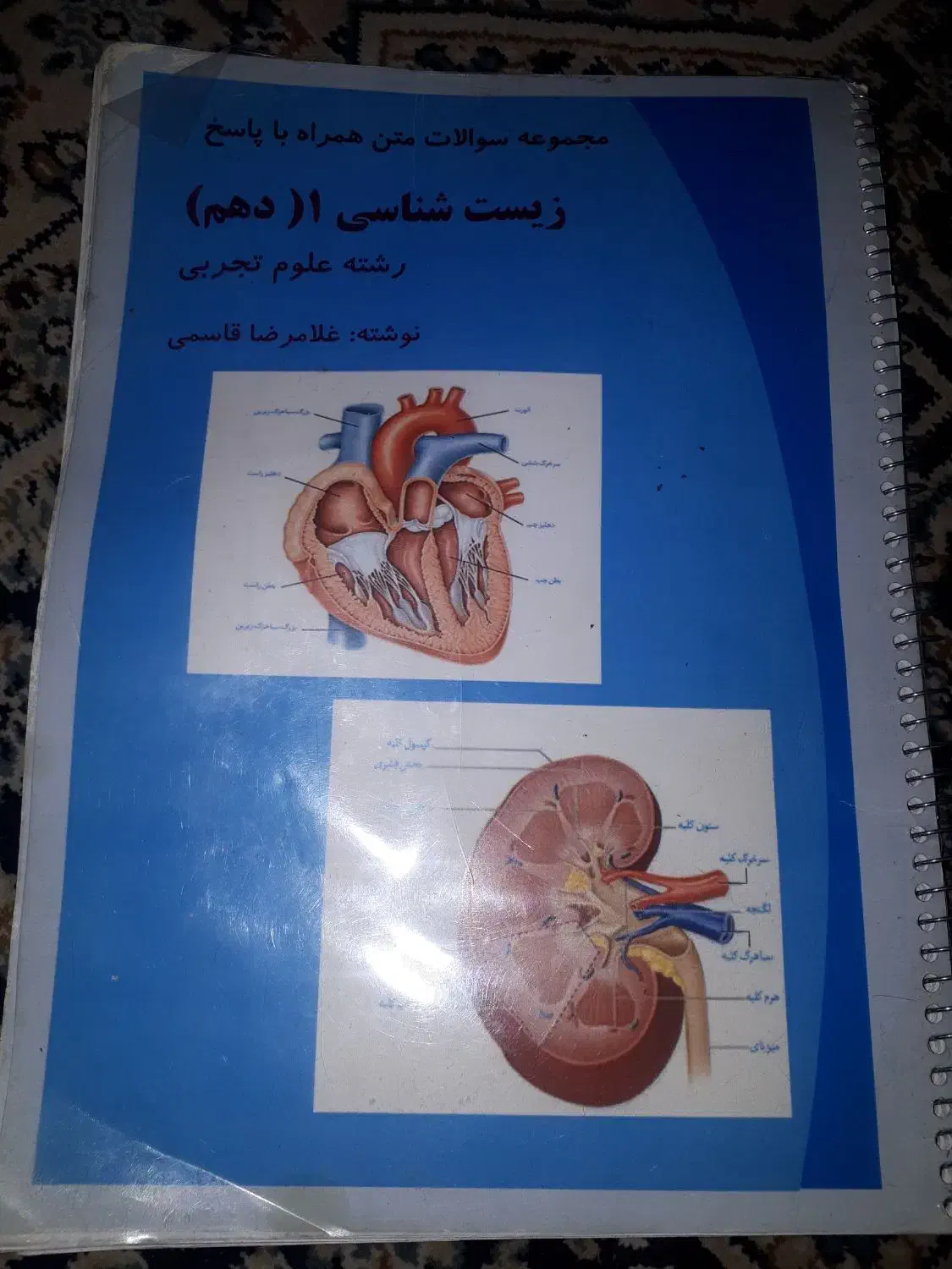 کتاب راهنما زیست شناسی دهم|کتاب و مجله آموزشی|دماوند, گیلاوند|دیوار