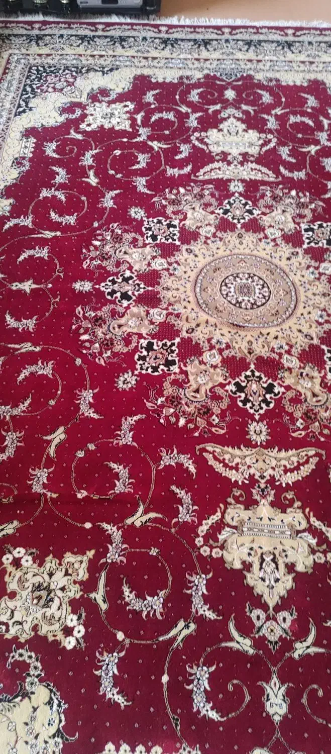 قالی|فرش|فولادشهر, B1|دیوار