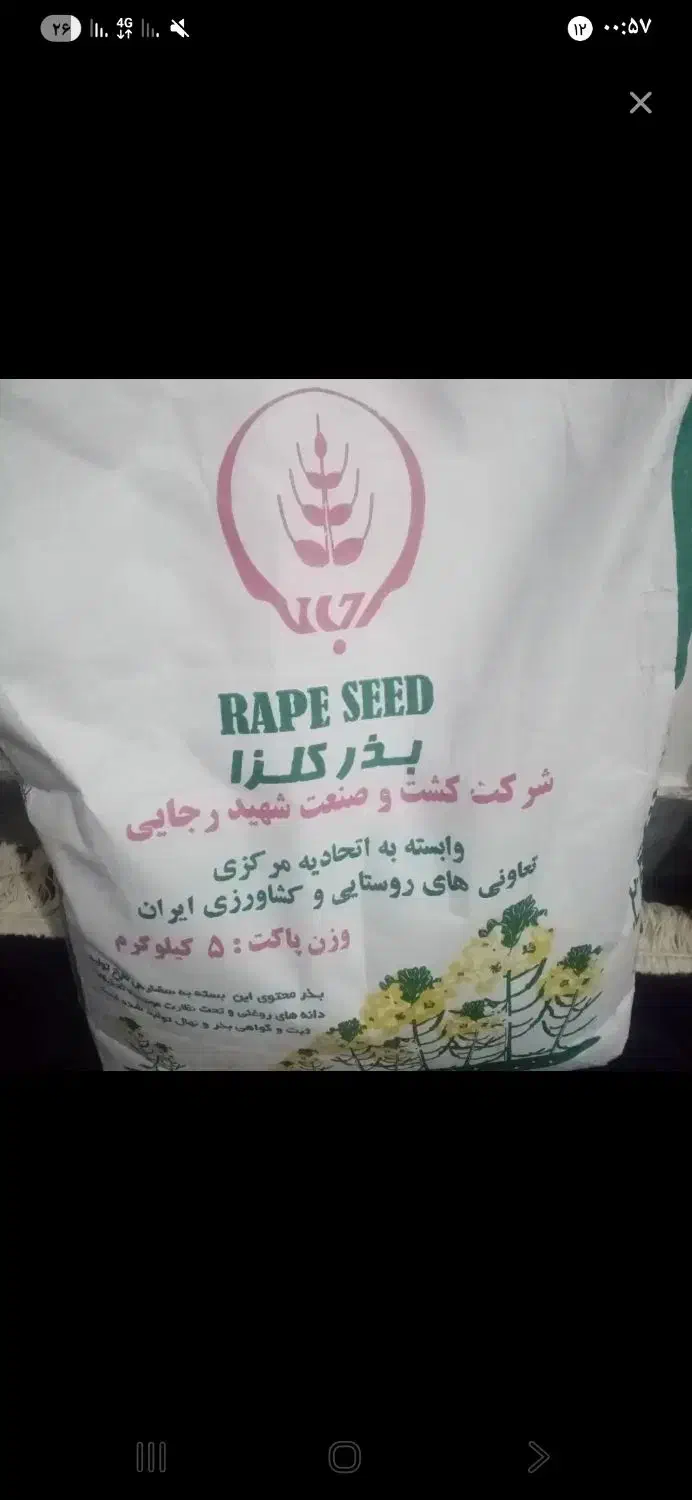 بذر کلزا|گل و گیاه طبیعی|اهواز, شریعتی جنوبی|دیوار