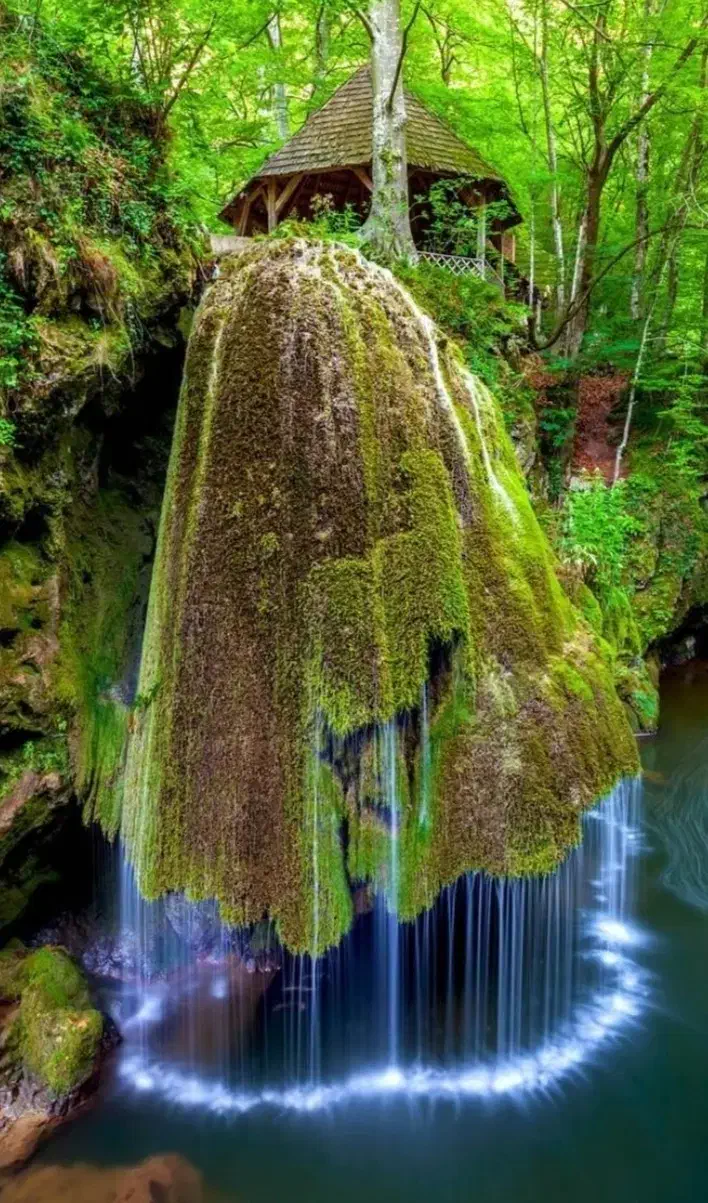 همکاری|خدمات پیشه و مهارت|شهرکرد, |دیوار