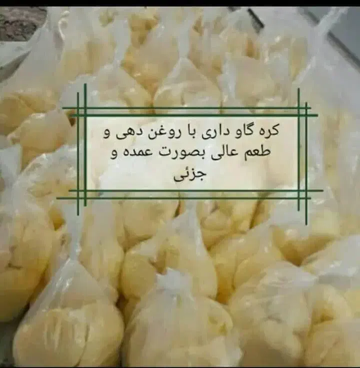 کره گاوداری با کیفیت|عمده‌فروشی|یاسوج, |دیوار