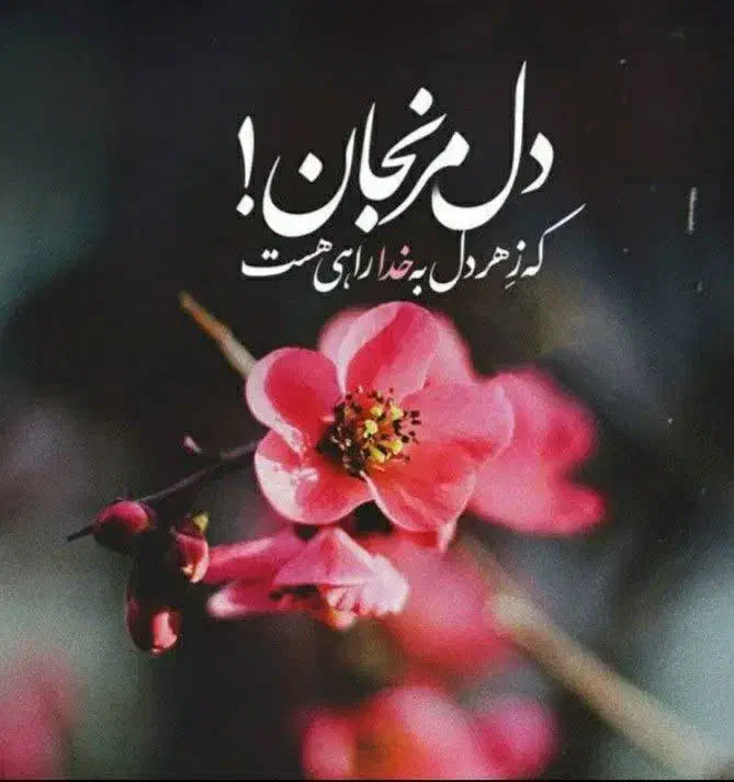 انجام امور حقوقی و اداری، مشاوره کیفری و خانوادگی|خدمات مالی، حسابداری، بیمه|بابلسر, |دیوار