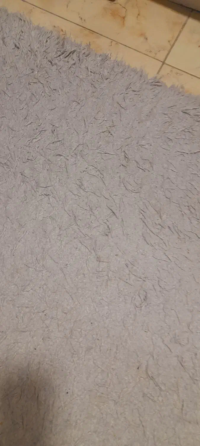 فرش شگی نقره ای رنگ|فرش|پرند, فاز ۳|دیوار