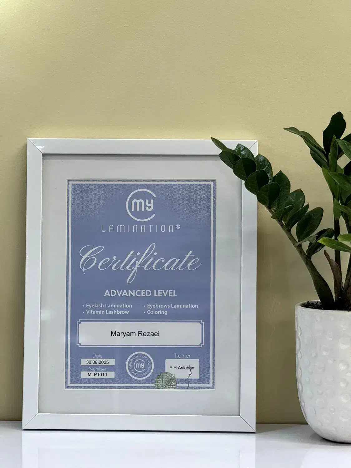 لیفت و لمینت مژه و ابرو با مایلمینیشن ایتالیا|خدمات آرایشگری و زیبایی|بیرجند, |دیوار