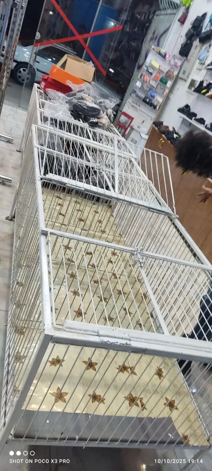 رگال قفسه|فروشگاه و مغازه|خمینی‌شهر, |دیوار