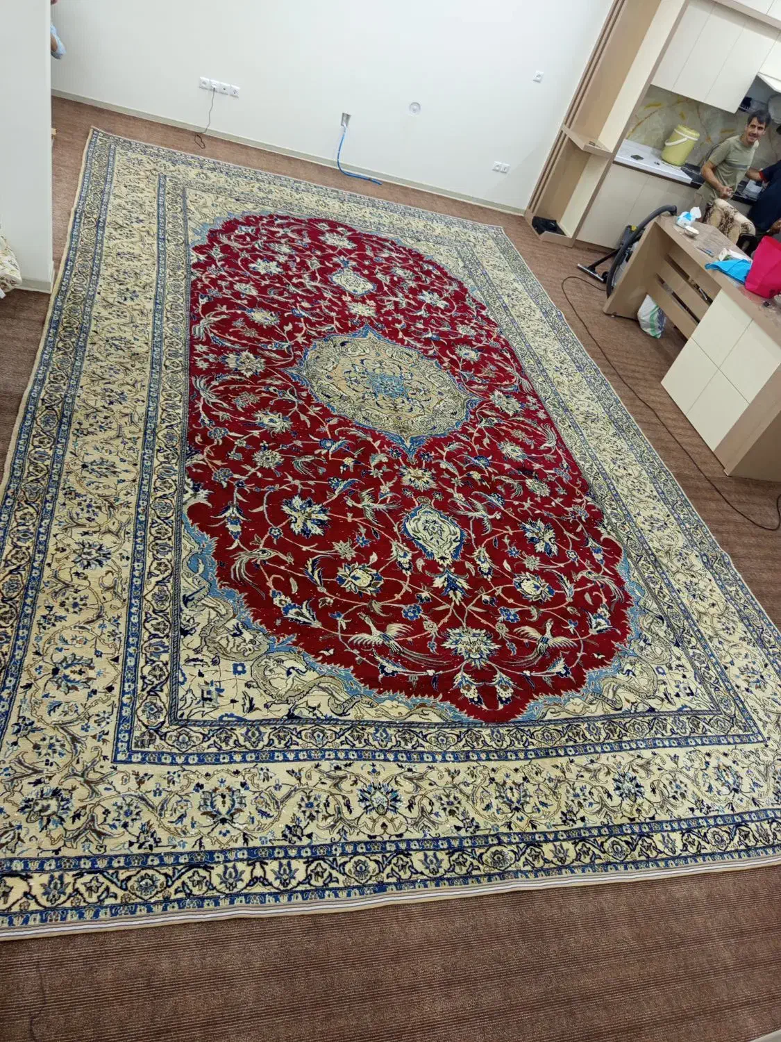 فرش دستباف بسیار شیک|فرش|اصفهان, سروستان|دیوار