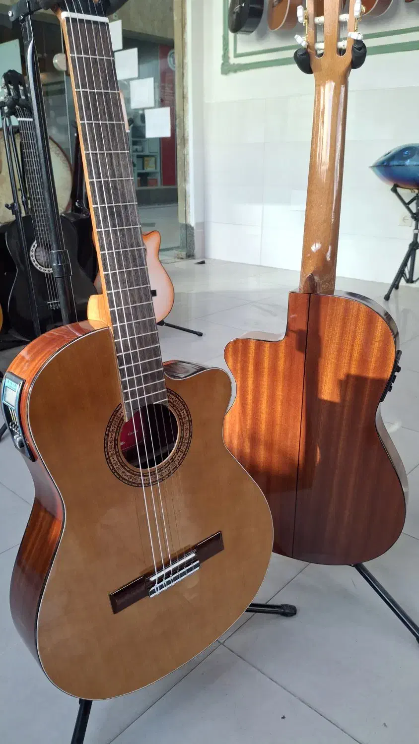 گیتار آموزشی و حرفه ای|گیتار، بیس، امپلیفایر|مشهد, الهیه|دیوار