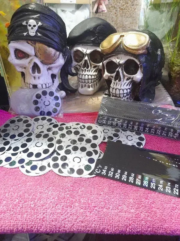 پلی استر اکواریوم|ماهی|اردبیل, |دیوار