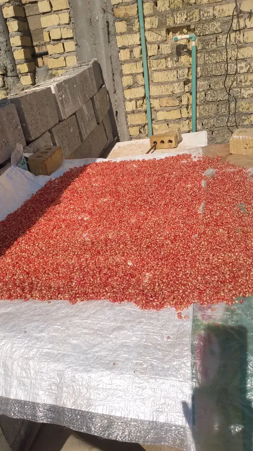 ناردونه تمیز وبهداشتی|خوردنی و آشامیدنی|شیراز, سلطان آباد|دیوار
