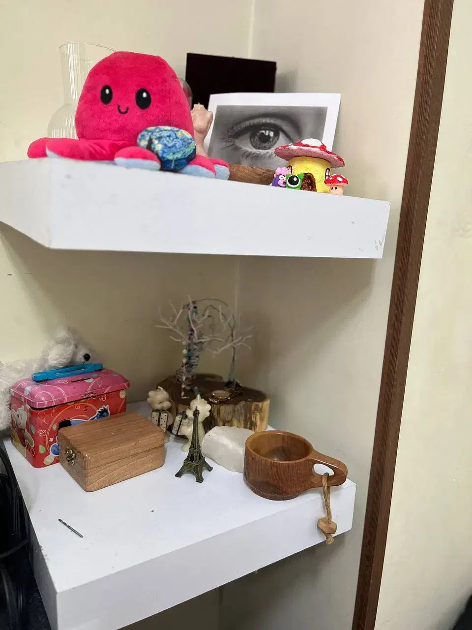 شلف دیوار|کتابخانه، شلف، قفسه‌های دیواری|پردیس, فاز ۸|دیوار