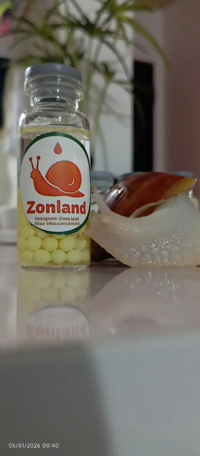 خاویار حلزون|خزنده|هشتگرد, شهرک ایران خودرو|دیوار