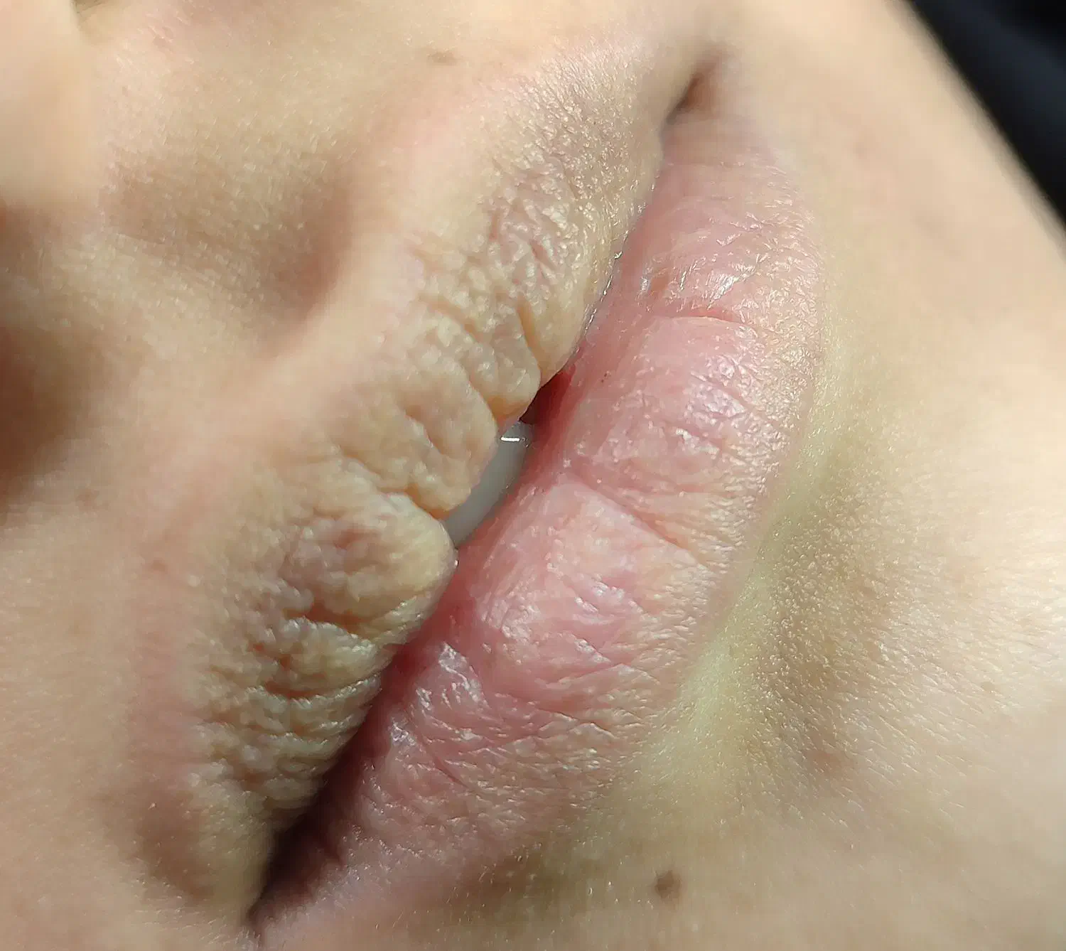 تخفیفات ویژه خدمات آرایش دائم با مواد اورجینال|خدمات آرایشگری و زیبایی|شیراز, شاهچراغ|دیوار