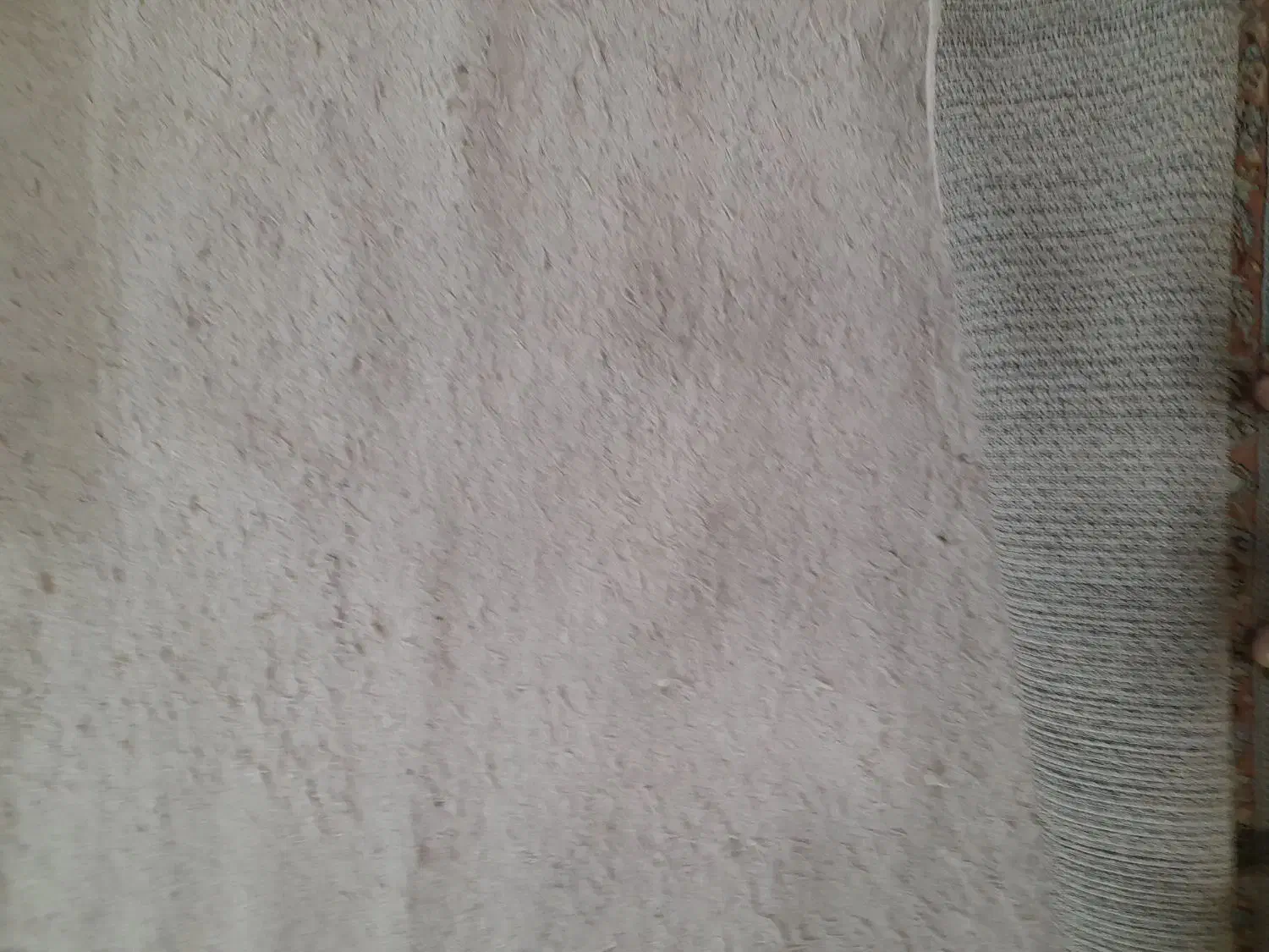 فرش فانتزی|فرش|مشهد, یوسفیه (شهرک غرب)|دیوار