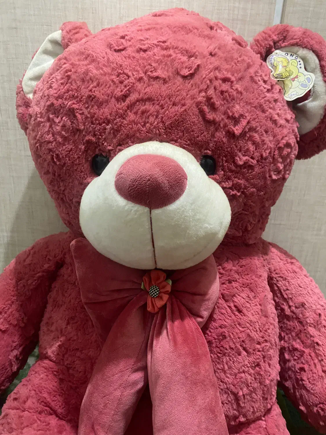 خرس|اسباببازی بچه|خوی, |دیوار