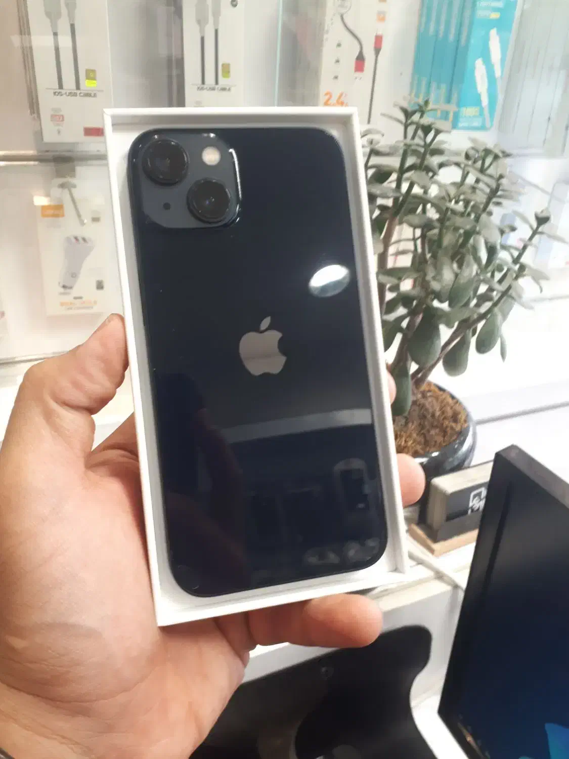 iphone 13 اقساطی|موبایل|مشهد, دانشجو|دیوار