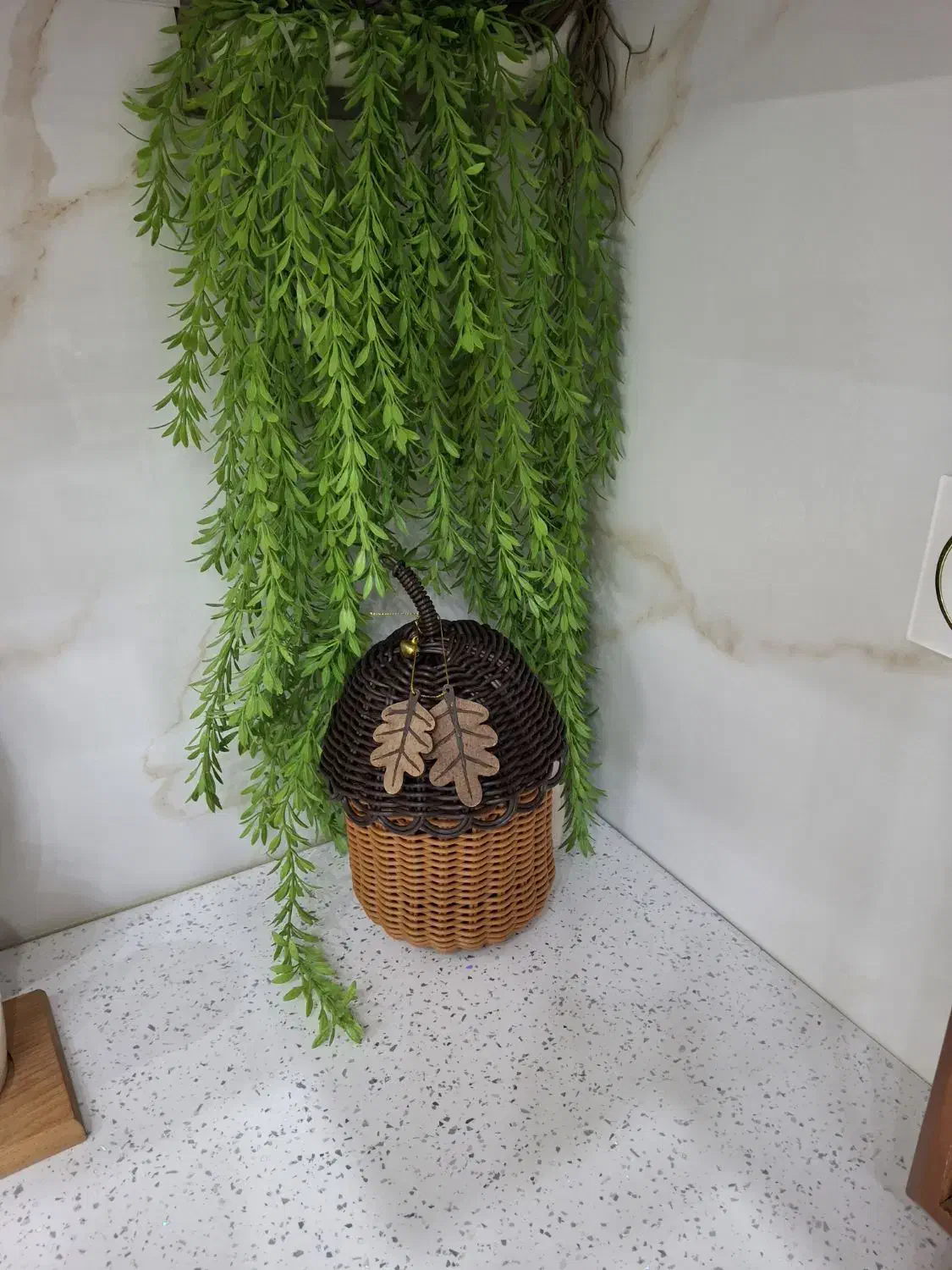 بلوط|ظروف سرو و پذیرایی|بروجرد, |دیوار