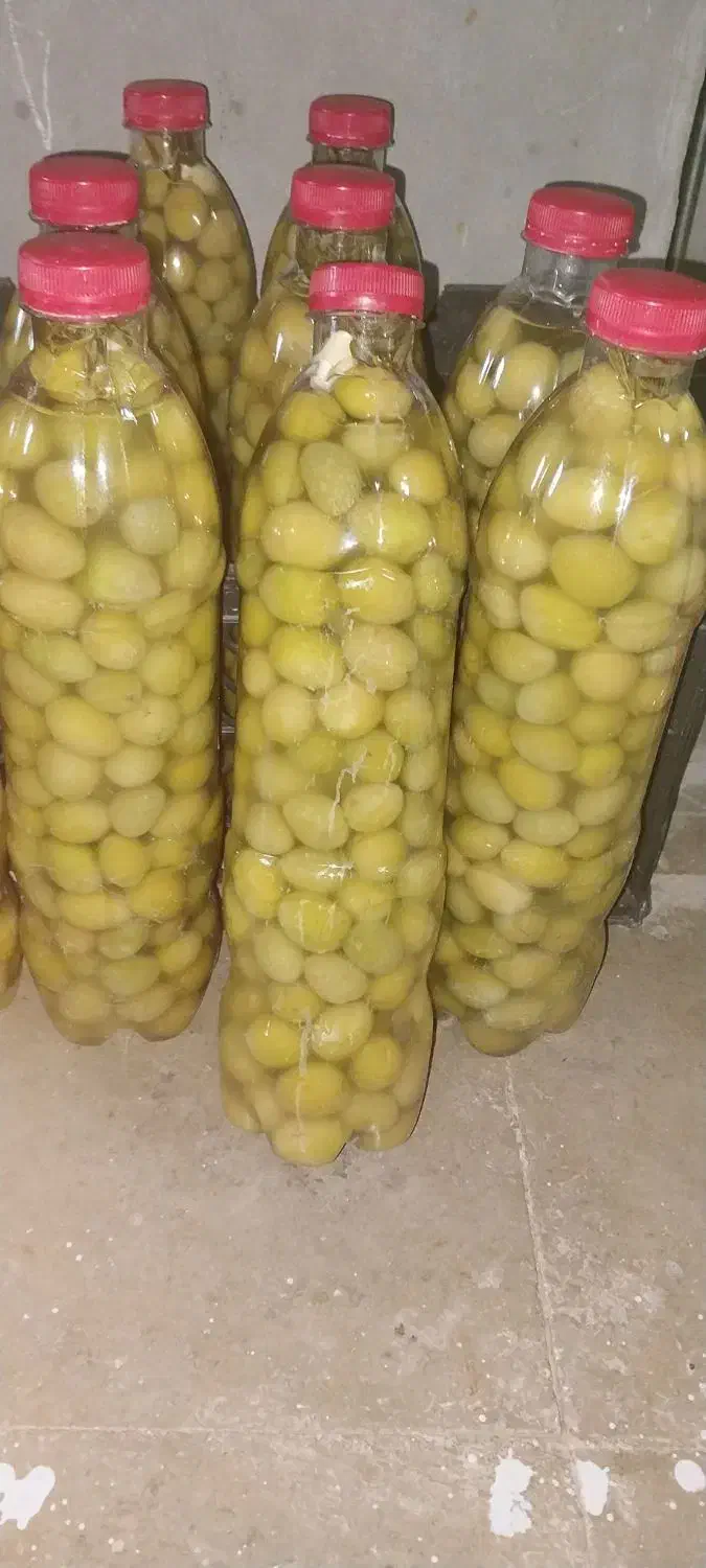 فروش ترشی زیتون تازه وبا کیفیت به صورت کلی وجزئی|خوردنی و آشامیدنی|استهبان, |دیوار