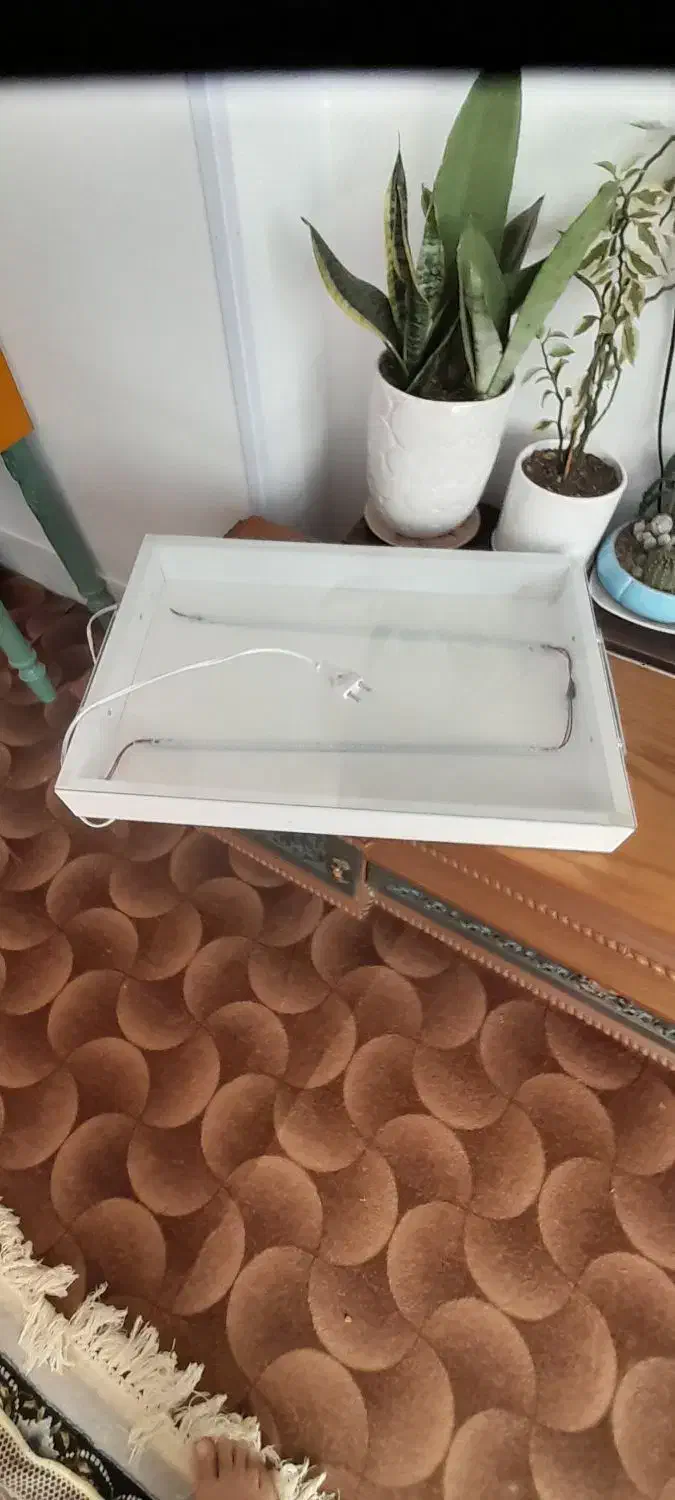 میز.چراغدار.نوری|لامپ و چراغ|گلبهار, شهر جدید گلبهار|دیوار