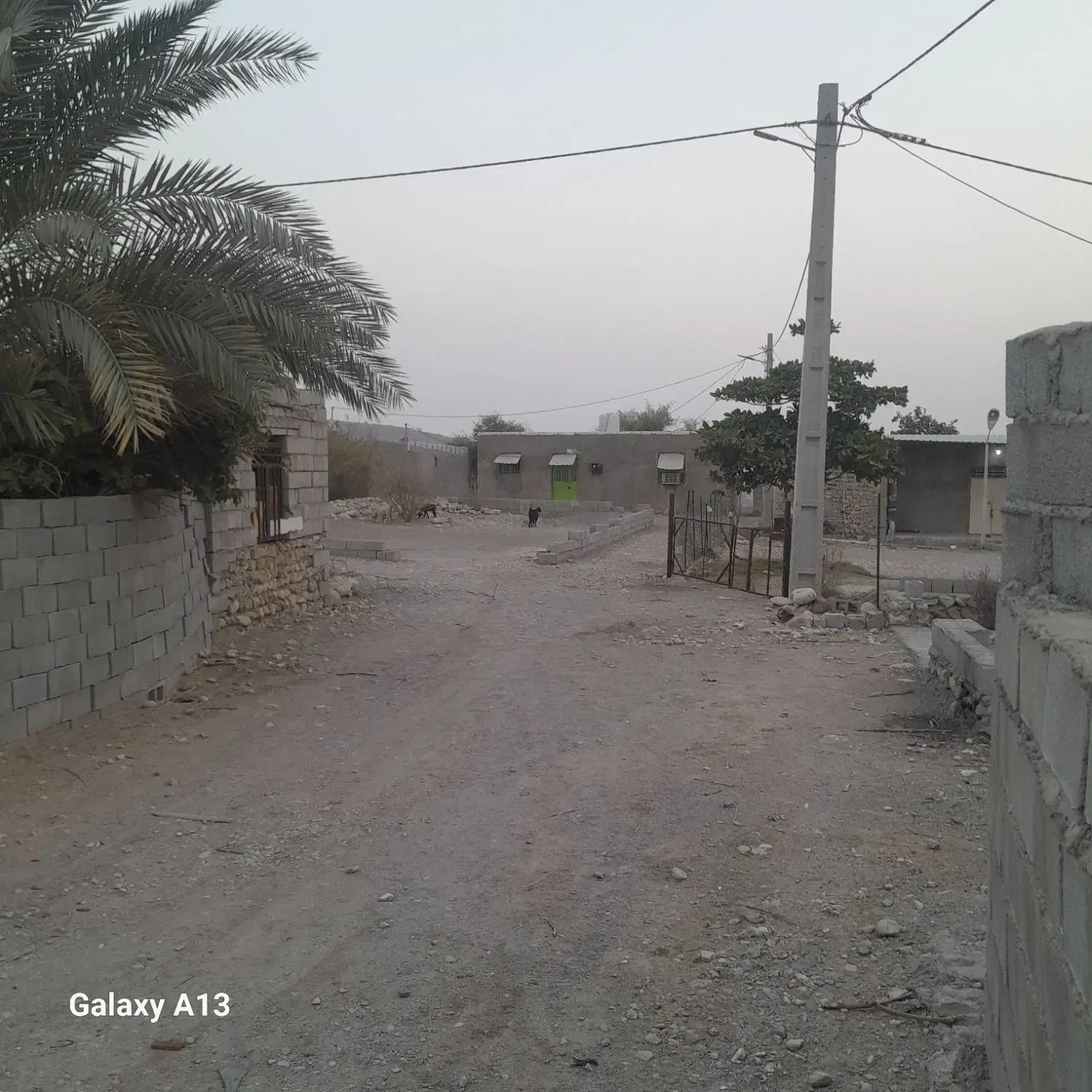 فروش زمین درروستای سلوبلم سندداریا معاوضه با خودرو|فروش زمین و ملک کلنگی|شمیل, |دیوار
