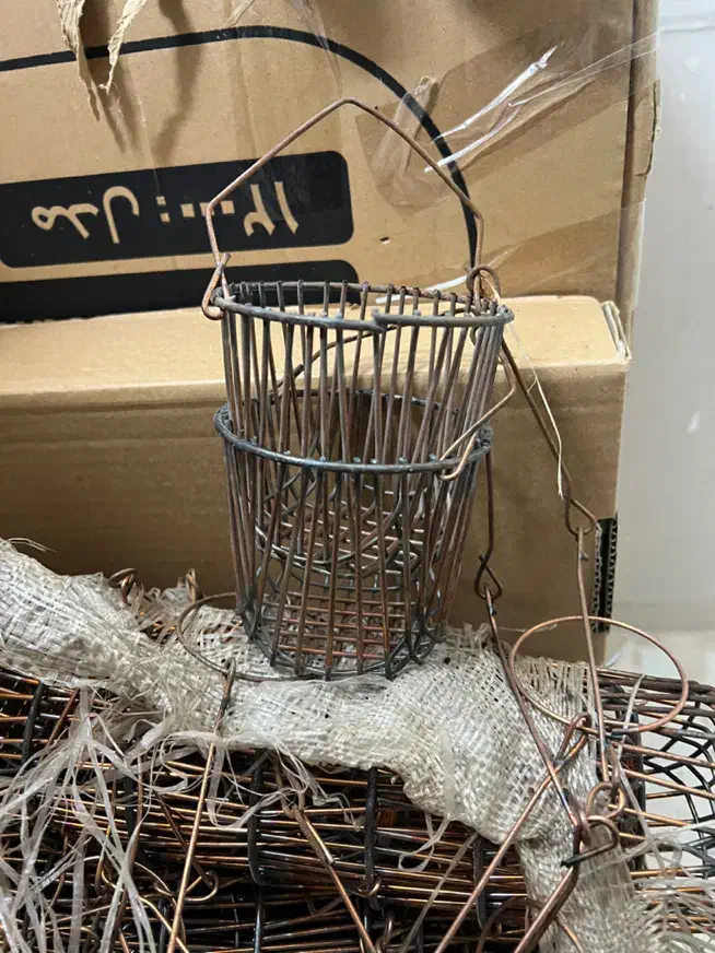 ذغال گردان|کلکسیون و سرگرمی|اصفهان, سروستان|دیوار