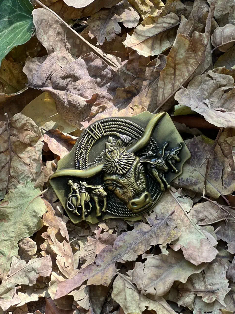 سگک کمربند|کیف، کفش، کمربند|فردیس, منظریه|دیوار