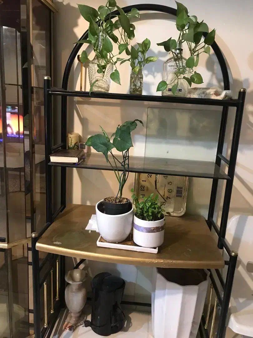 هود آشپزخونه،بوفه|هود|شیراز, سینما سعدی|دیوار