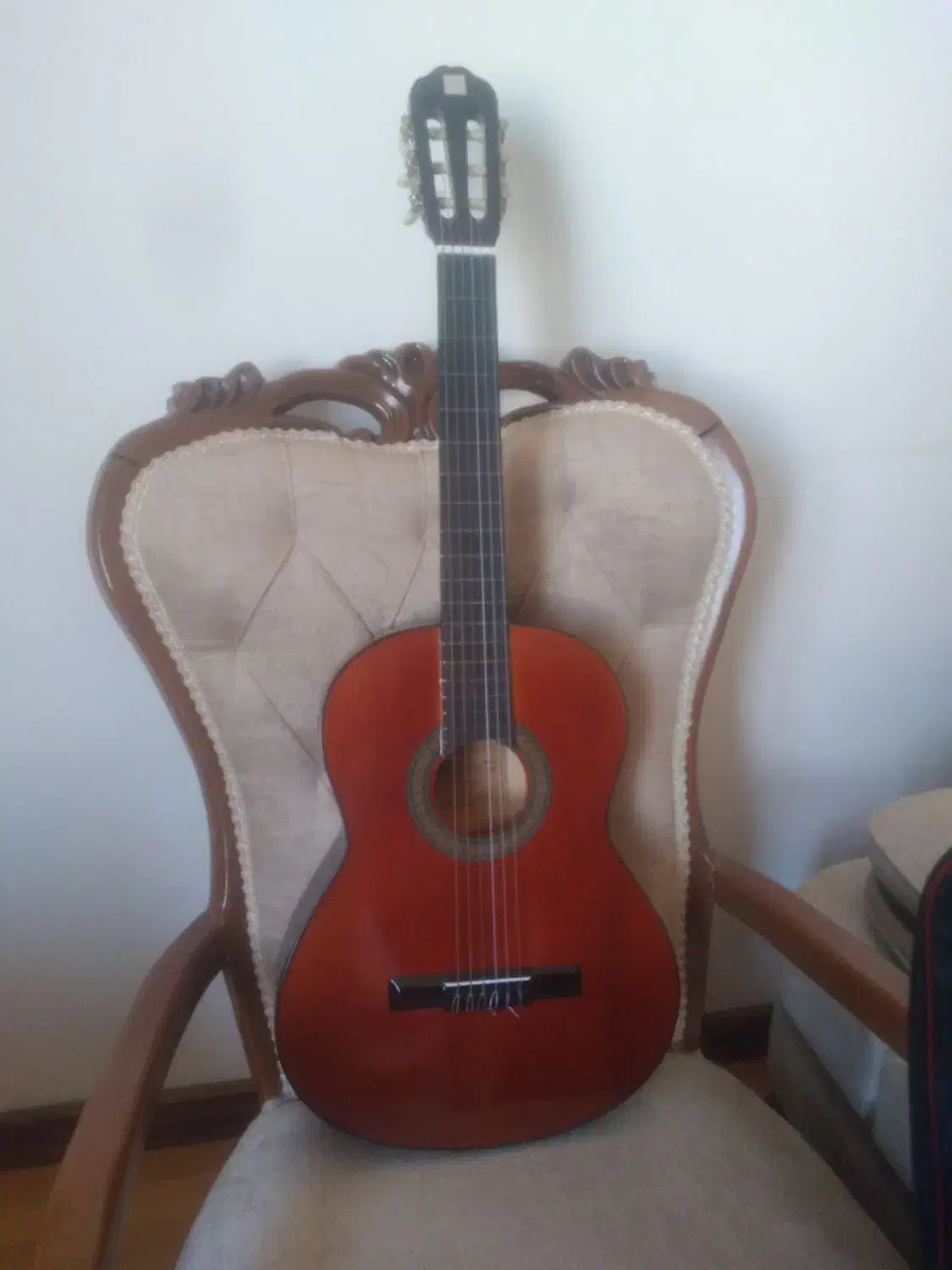 گیتار نو|گیتار، بیس، امپلیفایر|اردبیل, |دیوار