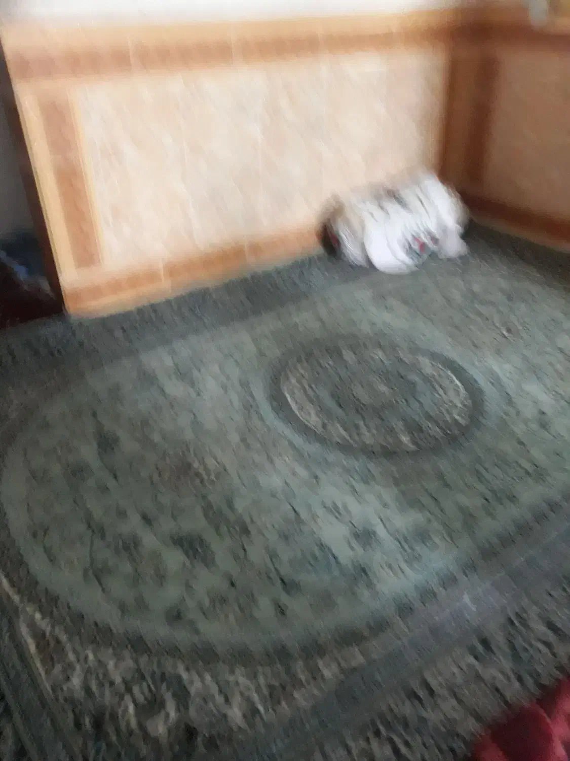 قالی دستی خوب|فرش|یاسوج, |دیوار