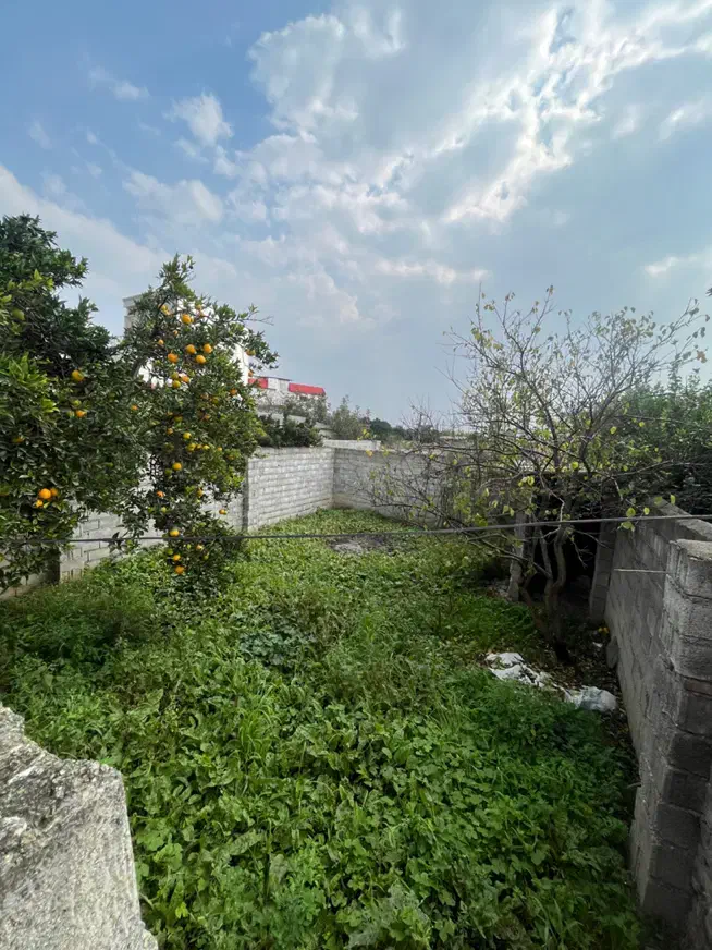 فروش زمین مسکونی روستای ۱۰۰ متری با سندتک برگ|فروش زمین و ملک کلنگی|کیاکلا, |دیوار