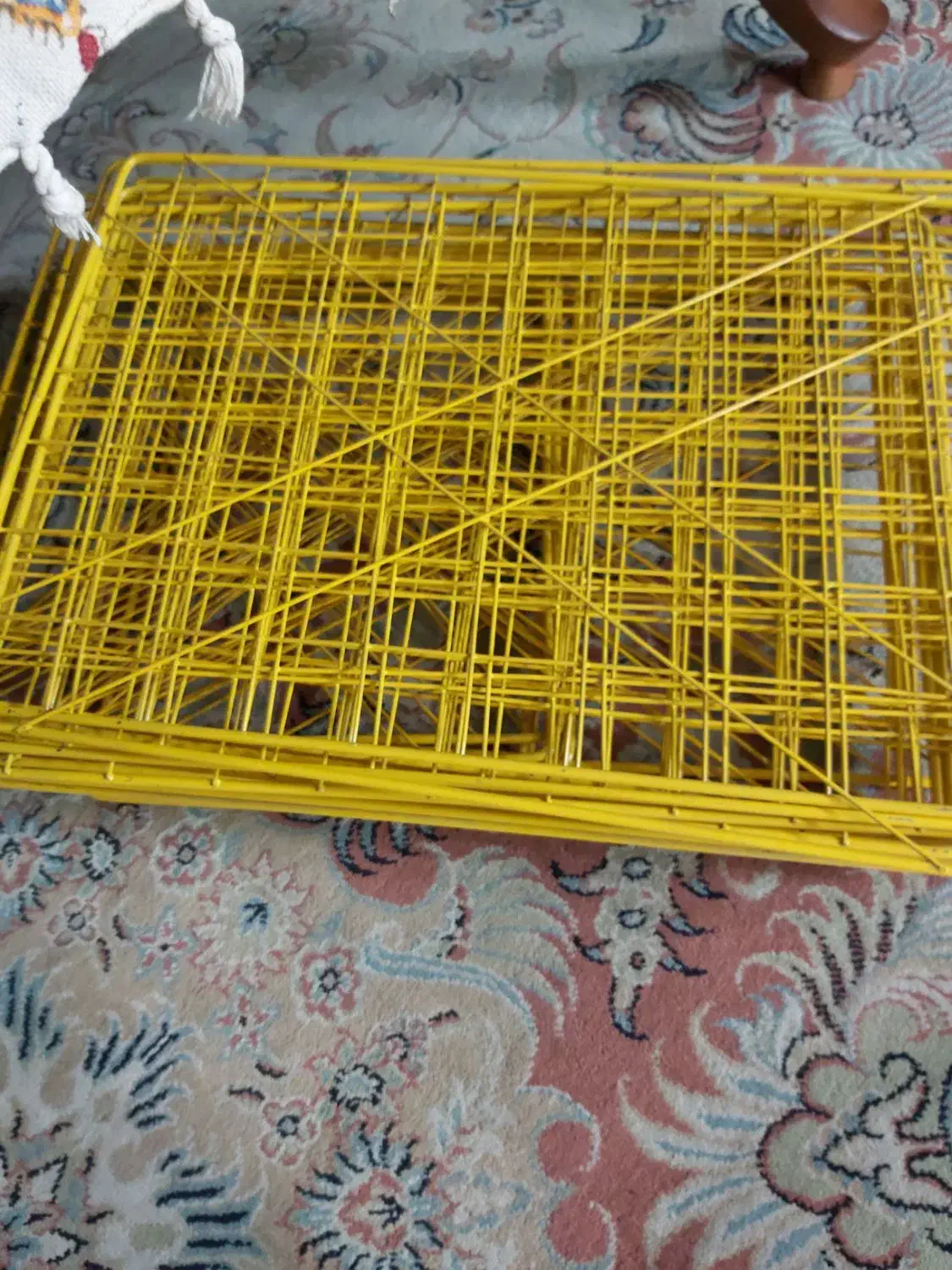 قفسه|کتابخانه، شلف، قفسه‌های دیواری|تهران, طرشت|دیوار