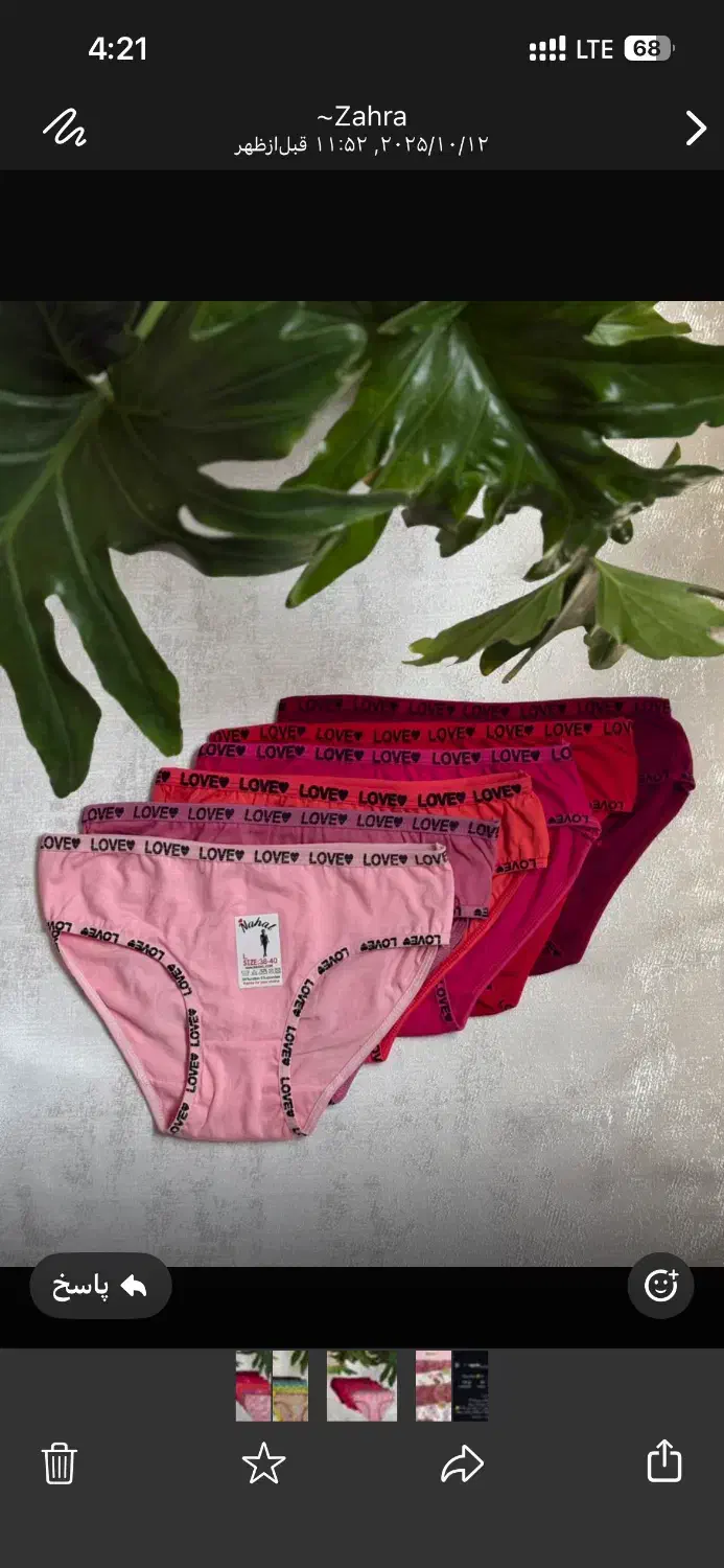 شورت  نخی|لباس|سنندج, |دیوار