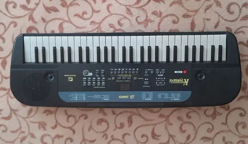 ارگ|پیانو، کیبورد، آکاردئون|بیجار, |دیوار