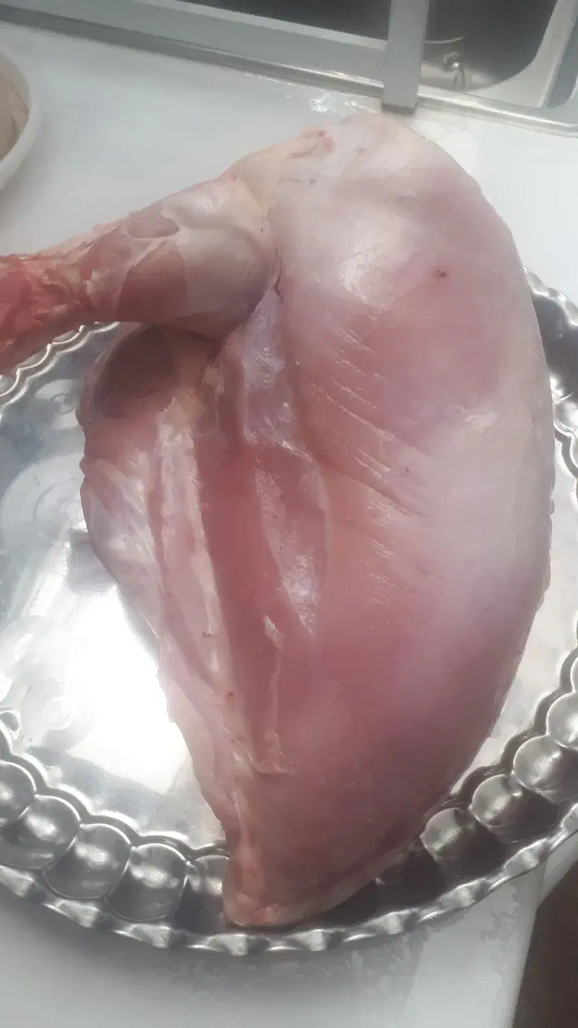 گوشت بوقلمون وبلدرچین|خوردنی و آشامیدنی|شاهرود, |دیوار