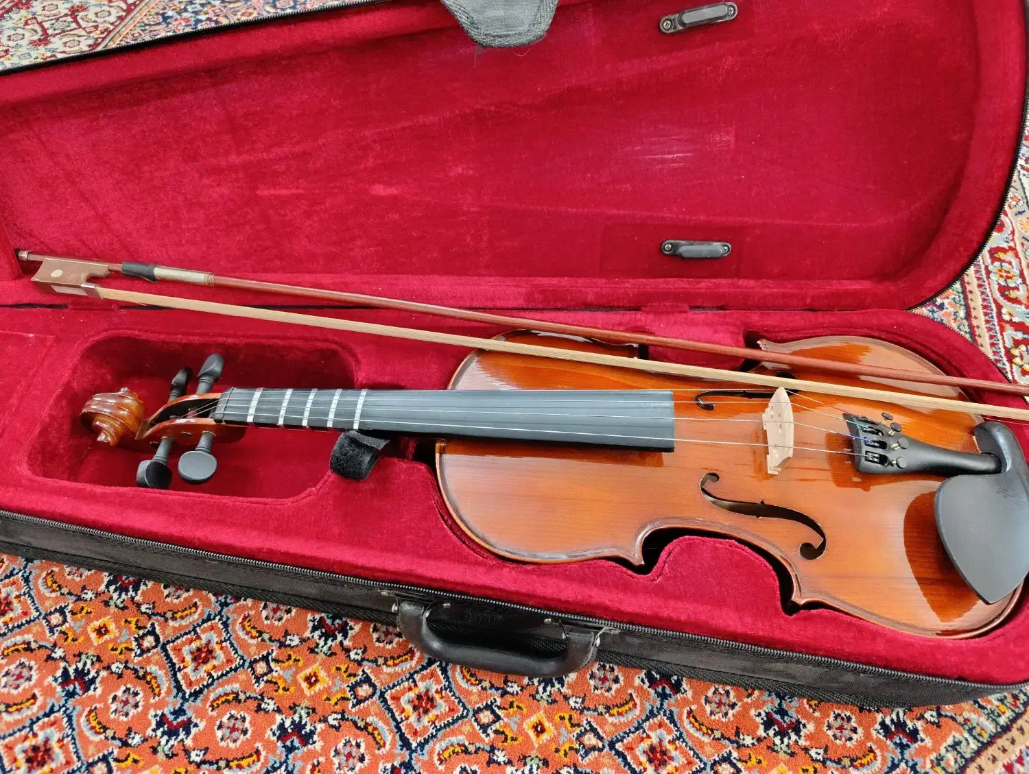 ویولون|ویولن|اردبیل, |دیوار